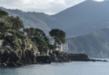 Ile kosztuje 1 km transportu busem?