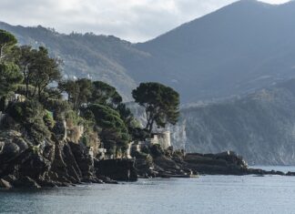 Ile kosztuje mercedes sprinter?