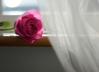 Ile firanki na karnisz 2 5m?