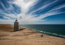 Co to za kategoria D1?